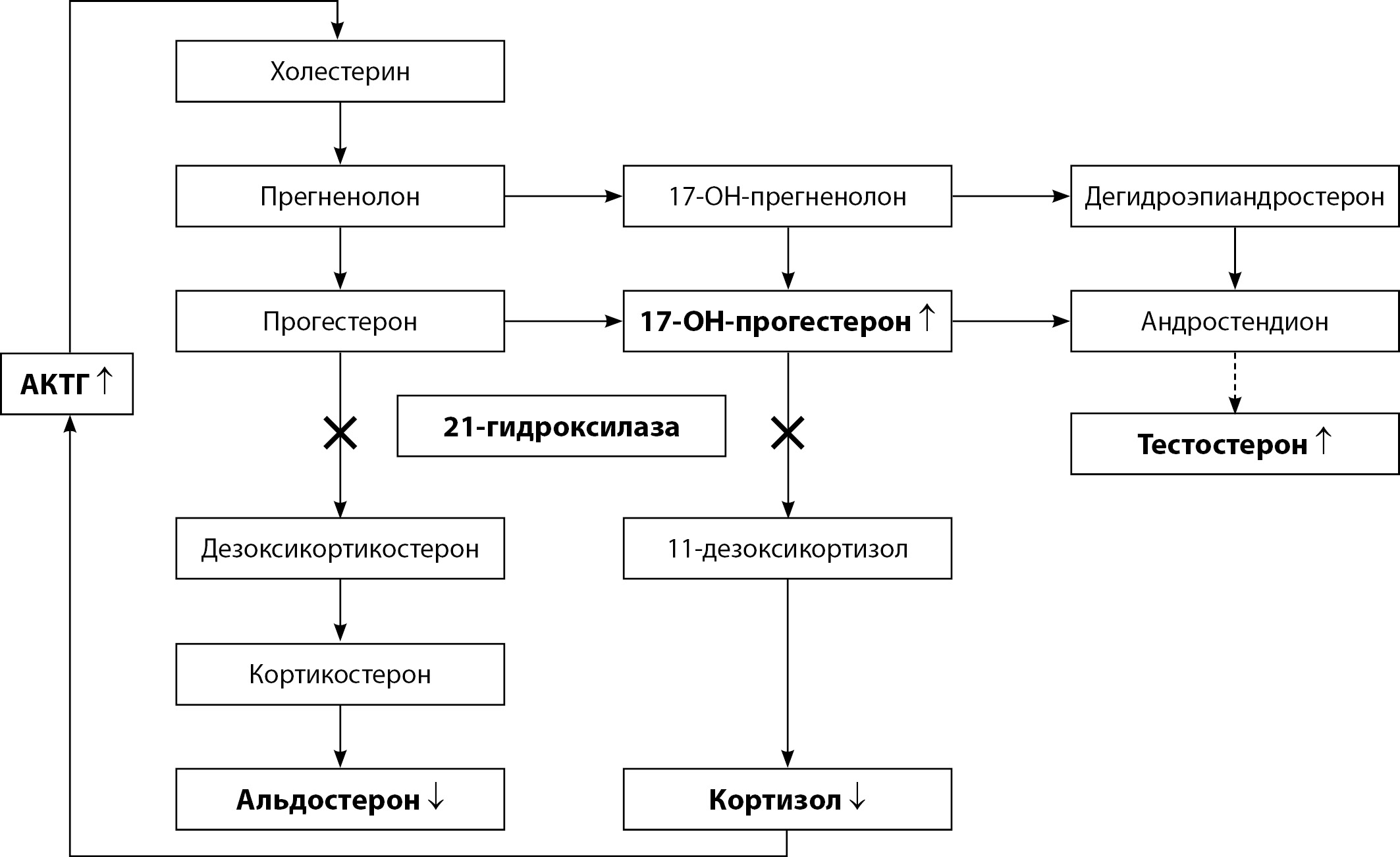 Woman Ru Relations Sex