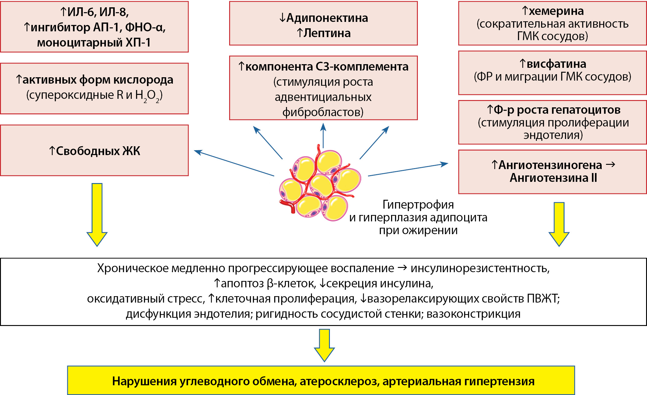 Исследование Эссе Рф 2