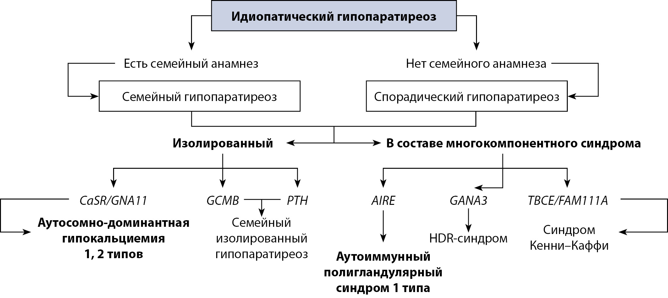 Изображение на обложке