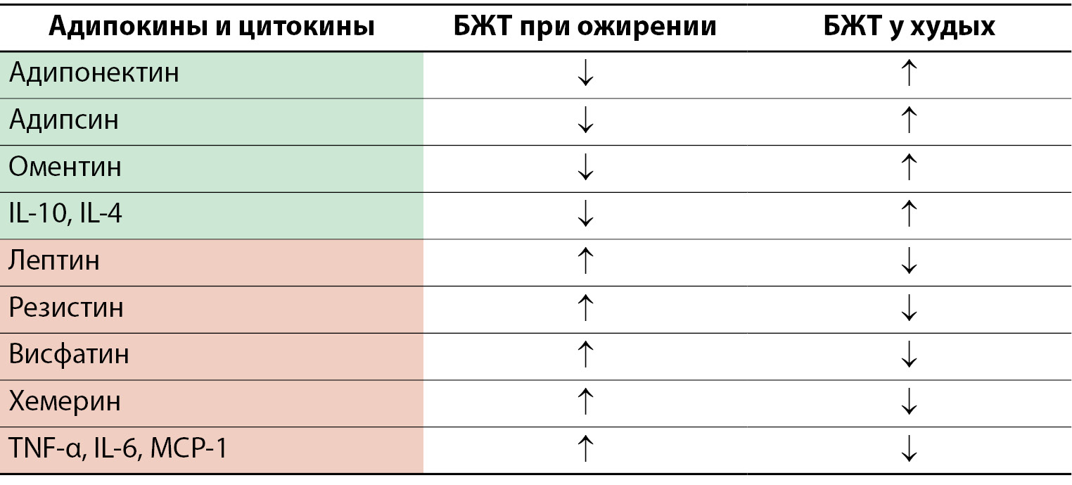 Изображение на обложке