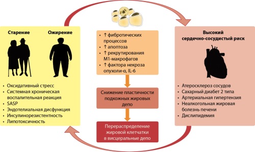 Изображение на обложке