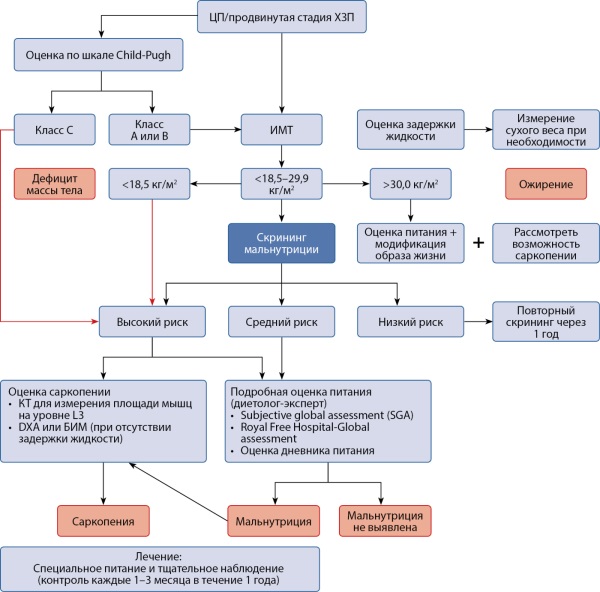 Изображение на обложке